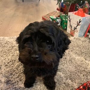 Meet your Posher, Mindy